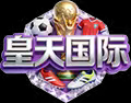皇天国际